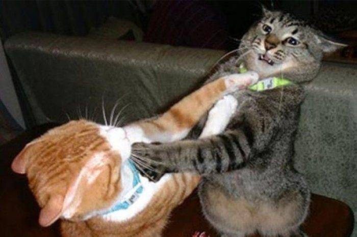 Закон и порядок в США