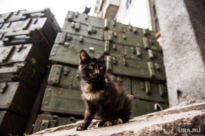 Донецкий комбат Гиви: «Никто не знает, что мы здесь вытворяем» Донецкий комбат Гиви: «Никто не знает, что мы здесь вытворяем»