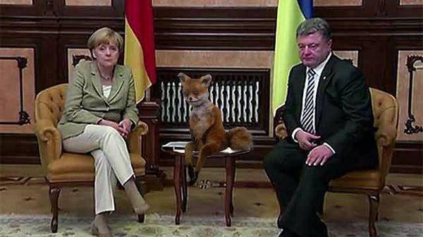 Порошенко-Яценюк-Гройсман. Идея Гросс Украины! Горбатого лепят…. Порошенко-Яценюк-Гройсман. Идея Гросс Украины! Горбатого лепят….