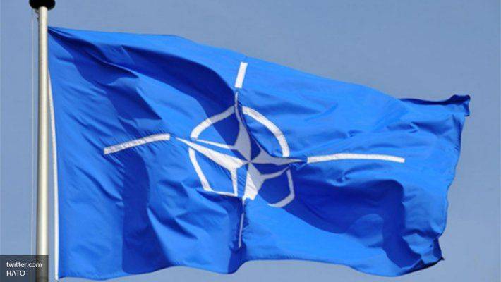 Сбитые летчики украинской политики требуют референдума по НАТО Сбитые летчики украинской политики требуют референдума по НАТО