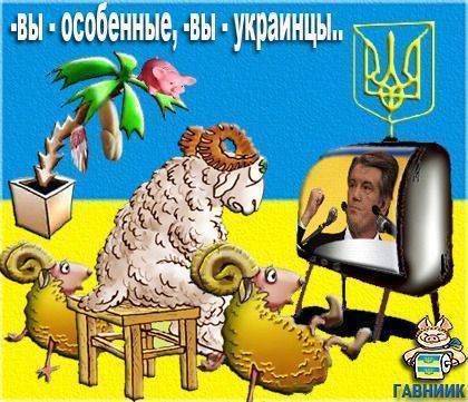 Откуда пошли главные заблуждения об украинской особенности? Откуда пошли главные заблуждения об украинской особенности?