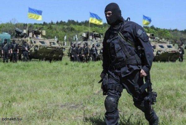 Порошенко хочет провести дополнительную спецоперацию в Донбассе Порошенко хочет провести дополнительную спецоперацию в Донбассе