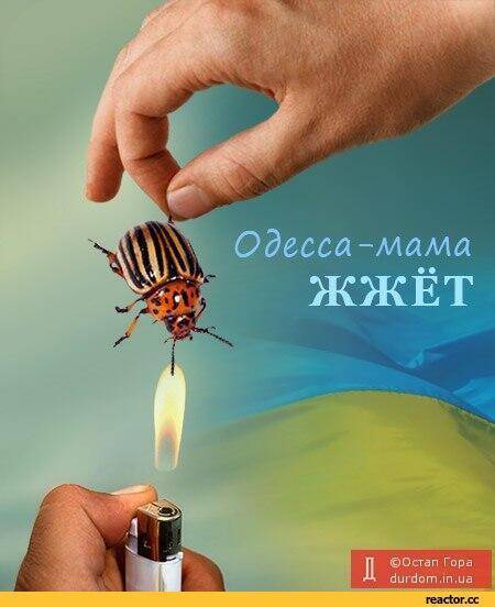Сводки от ополчения Новороссии 24 сентября 2015 Сводки от ополчения Новороссии 24 сентября 2015