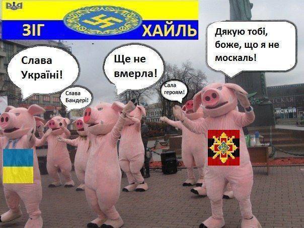 Почему фашистский режим в Киеве обречен на поражение уже в краткосрочной перспективе? Почему фашистский режим в Киеве обречен на поражение уже в краткосрочной перспективе?