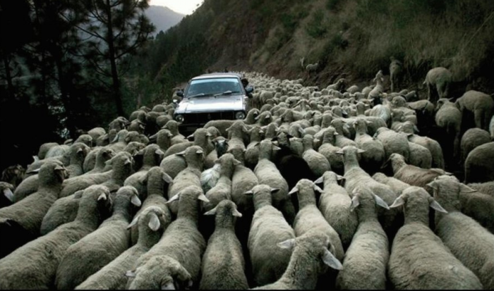 Не спрашивай, что твоя страна сделала для тебя Не спрашивай, что твоя страна сделала для тебя