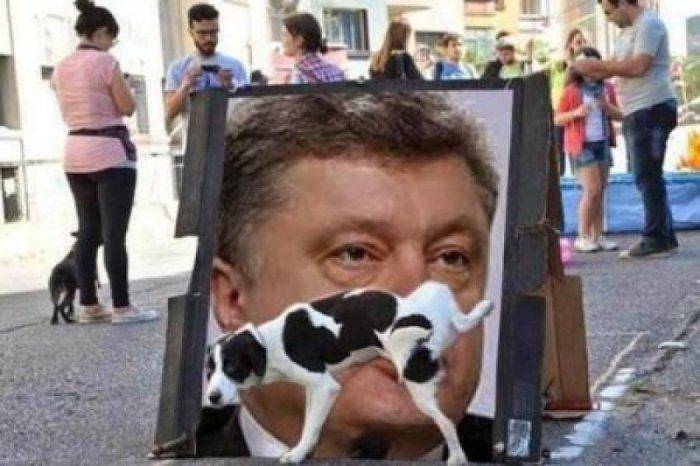 Петька-кефир. Рейтинг доверия Порошенко упал до 3% Петька-кефир. Рейтинг доверия Порошенко упал до 3%