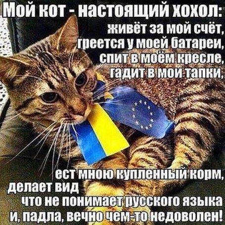 Яресько: МВФ разрешит Украине не отдавать долг России Яресько: МВФ разрешит Украине не отдавать долг России