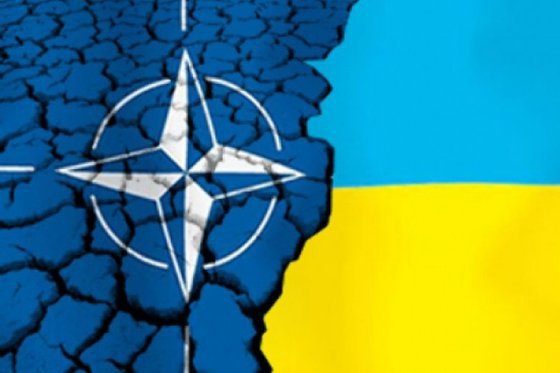 Госдепартамент США признал: Сирия для Вашингтона куда важнее какой-то Украины Госдепартамент США признал: Сирия для Вашингтона куда важнее какой-то Украины