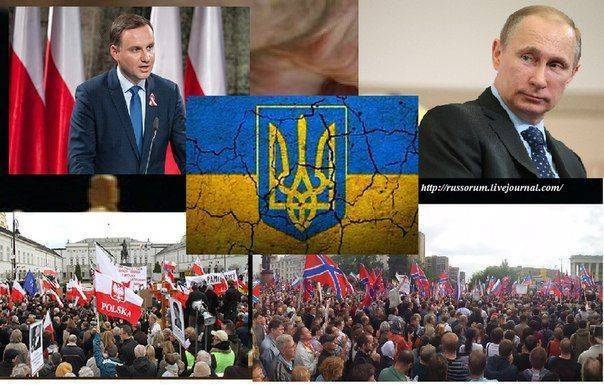 Сводки от ополчения Новороссии 23 октября 2015 Сводки от ополчения Новороссии 23 октября 2015
