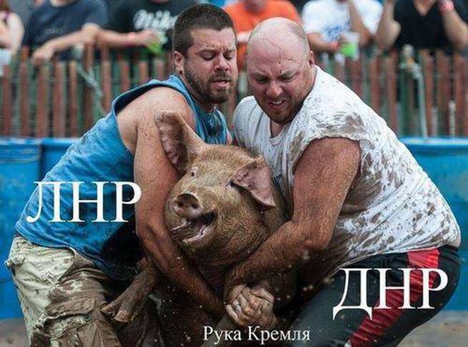 Украинские «бесы войны» Украинские «бесы войны»