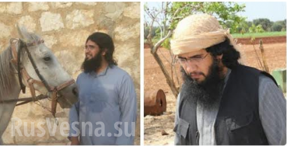 Сводка за сутки без цензуры, кто убил главарей «Джебхат ан-Нусры» и обзор «раскладов» террористического подполья Сирии (выходцы стран СНГ, египтяне, отряд крымских татар) — на связи позывной «Тимур» Сводка за сутки без цензуры, кто убил главарей «Джебхат ан-Нусры» и обзор «раскладов» террористического подполья Сирии (выходцы стран СНГ, египтяне, отряд крымских татар) — на связи позывной «Тимур»