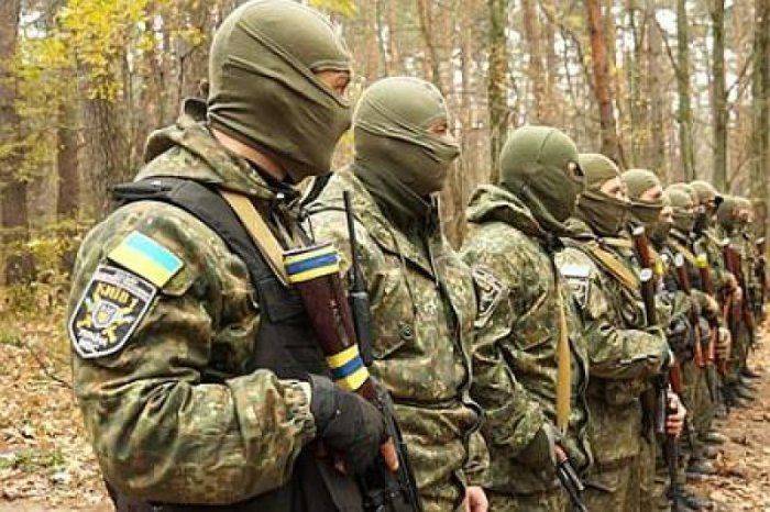 Карбаты требуют от Порошенко послать их в Сирию   Карбаты требуют от Порошенко послать их в Сирию