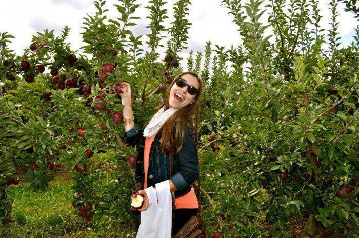 Что хорошего в России? Американка о русской культуре Что хорошего в России? Американка о русской культуре