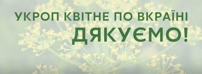 Осень. Время косить Укроп Осень. Время косить Укроп