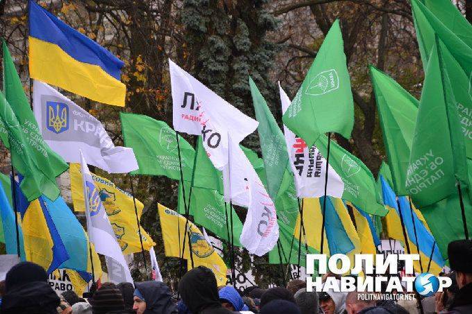 Сборище сумасшедших под Радой: Корбан — наш Че Гевара Сборище сумасшедших под Радой: Корбан — наш Че Гевара