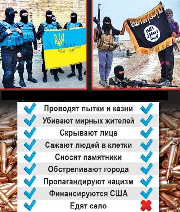 Украина поддерживает международный терроризм Украина поддерживает международный терроризм