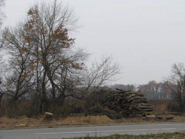 Киев депрессивный Киев депрессивный