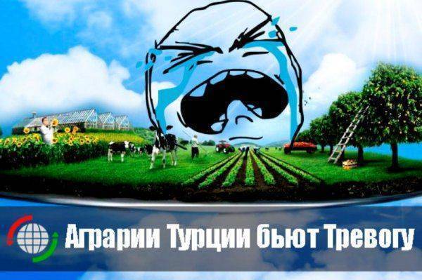 Аграрии Турции бьют Тревогу  Аграрии Турции бьют Тревогу