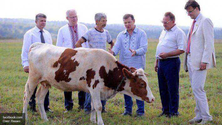 Налоговый хлам украинского правительства вызвал рвотные позывы у депутатов Налоговый хлам украинского правительства вызвал рвотные позывы у депутатов