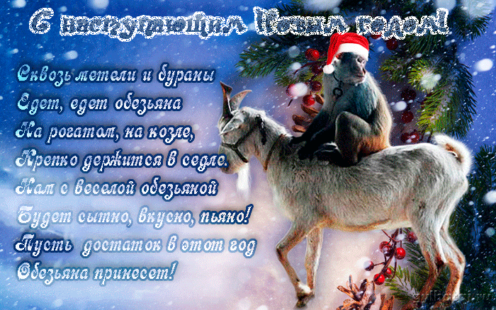 С Новым 2016 годом! С Новым 2016 годом!