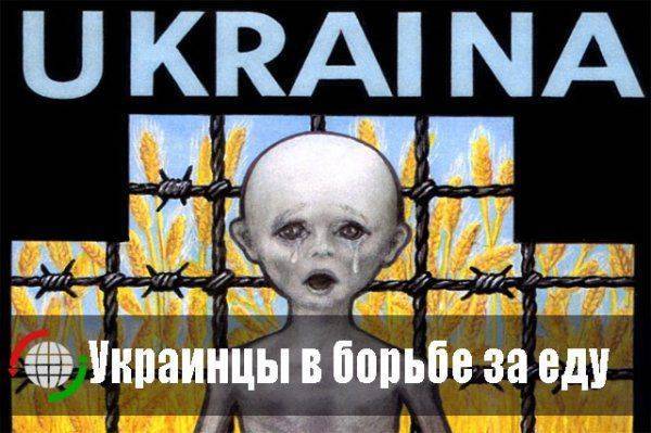 Украинцы в борьбе за еду  Украинцы в борьбе за еду