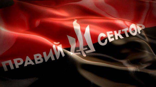Как «Правый сектор» вербует жителей России? Как «Правый сектор» вербует жителей России?
