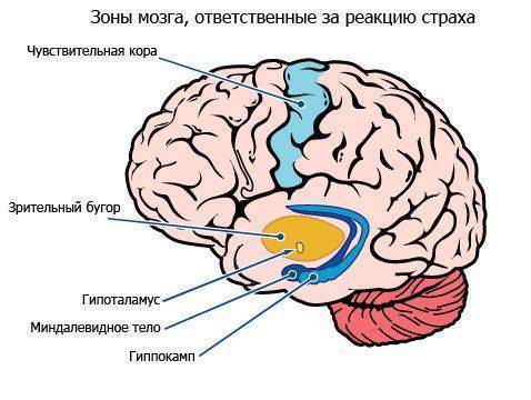 Квантовый Переход состоялся… Квантовый Переход состоялся…