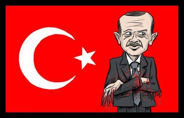 Влияние Турции на грани краха Влияние Турции на грани краха