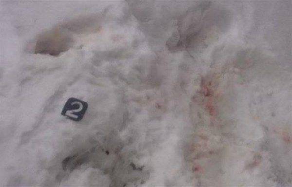 Новые подробности резни на закарпатском курорте: в Правом секторе подтвердили участие в инциденте своих боевиков  Новые подробности резни на закарпатском курорте: в Правом секторе подтвердили участие в инциденте своих боевиков