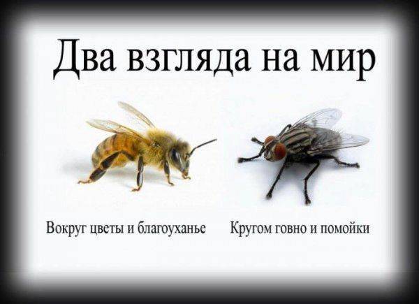 Пора валить! Пора бежать из ЭТОЙ страны в приличное государство. Наблюдения Пора валить! Пора бежать из ЭТОЙ страны в приличное государство. Наблюдения