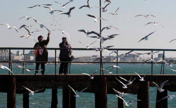 Крым ждет возвращения немецких колонистов Крым ждет возвращения немецких колонистов