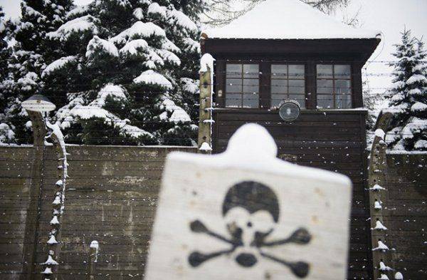 Восточная Европа смотрит на Россию Восточная Европа смотрит на Россию