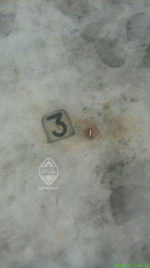 Новые подробности резни на закарпатском курорте: в Правом секторе подтвердили участие в инциденте своих боевиков  Новые подробности резни на закарпатском курорте: в Правом секторе подтвердили участие в инциденте своих боевиков