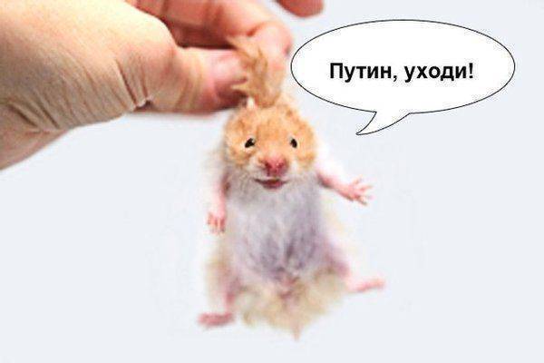 В Новосибирске прошёл пикет против пятой колонны В Новосибирске прошёл пикет против пятой колонны