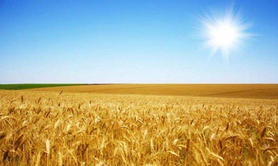 Украина получит помощь от Евросоюза на развитие агросектора Украина получит помощь от Евросоюза на развитие агросектора