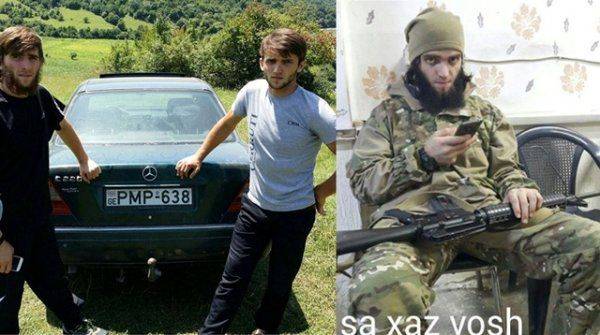 Экспресс-проверка заявления посла США: как найти ИГИЛ в Панкисском ущелье Грузии?  Экспресс-проверка заявления посла США: как найти ИГИЛ в Панкисском ущелье Грузии?