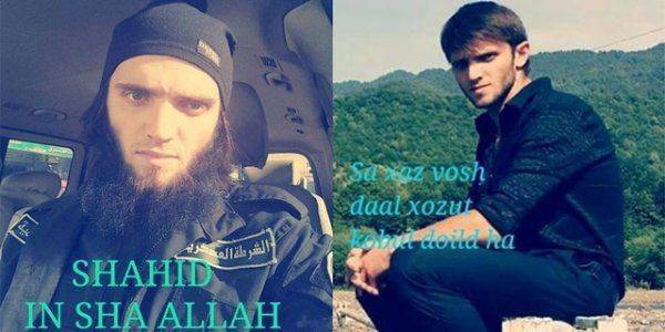 Экспресс-проверка заявления посла США: как найти ИГИЛ в Панкисском ущелье Грузии?  Экспресс-проверка заявления посла США: как найти ИГИЛ в Панкисском ущелье Грузии?