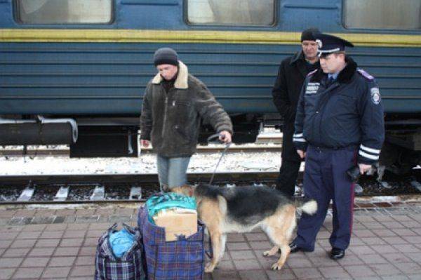 Вооруженные силовики в камуфляже шмонают киевлян и требуют аусвайсы Вооруженные силовики в камуфляже шмонают киевлян и требуют аусвайсы