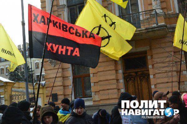 Яценюк и Аваков запускают новый проект и выводят на улицы Киева боевиков  Яценюк и Аваков запускают новый проект и выводят на улицы Киева боевиков