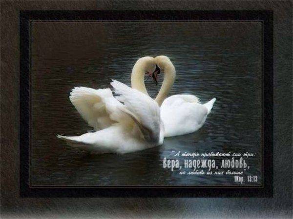 Не предавай Россию! Не предавай Россию!