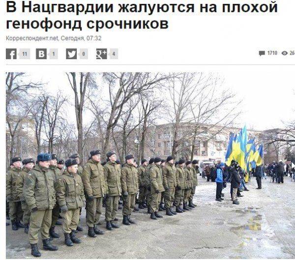 Хроники пикирующей Руины Хроники пикирующей Руины