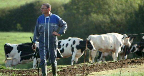 Ежегодно 600 французских фермеров совершают самоубийства из-за экономических трудностей Ежегодно 600 французских фермеров совершают самоубийства из-за экономических трудностей