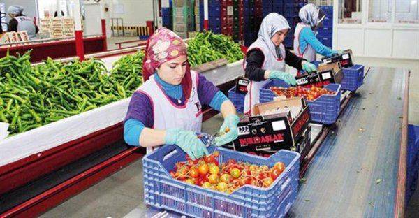 Кризис в отношениях с Россией обходится Анкаре все дороже Кризис в отношениях с Россией обходится Анкаре все дороже