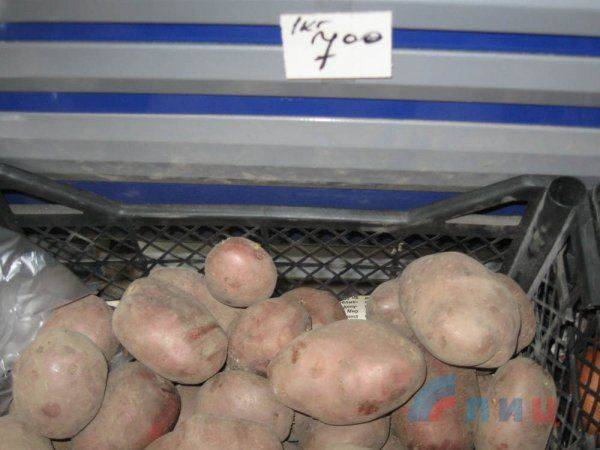 Продукты в ЛНР вдвое и вчетверо дешевле чем на подконтрольной Украине территории Продукты в ЛНР вдвое и вчетверо дешевле чем на подконтрольной Украине территории
