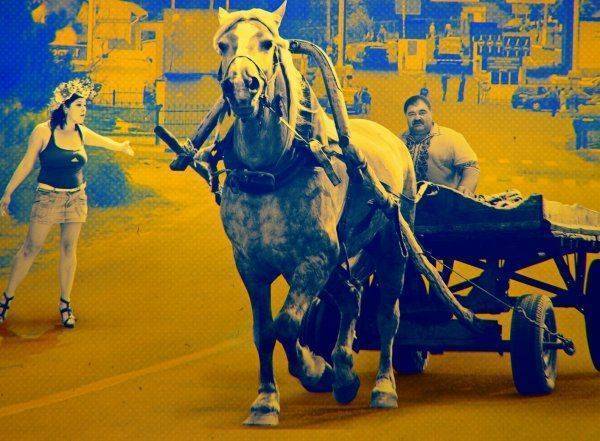 Более трети украинцев считает жизнь невыносимой, а 2/3 населения мечтают уехать из Украины Более трети украинцев считает жизнь невыносимой, а 2/3 населения мечтают уехать из Украины