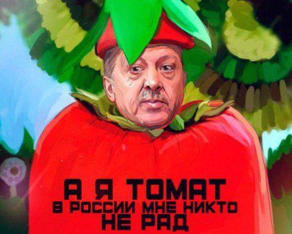 Друзья подкинули России турецких помидоров Друзья подкинули России турецких помидоров