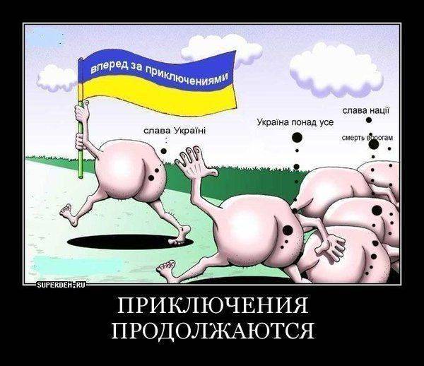 украинцы «оценили» итоги референдума и пожелали Голландии в президенты Мотороллу украинцы «оценили» итоги референдума и пожелали Голландии в президенты Мотороллу