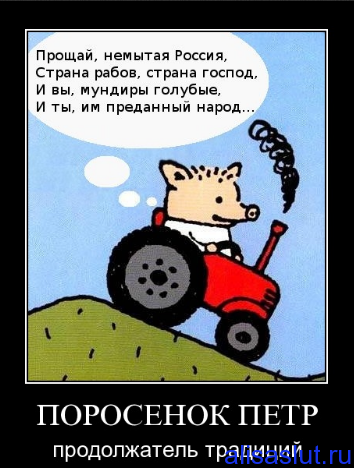 Кандидат в Зелинские: канадский русофоб актёр Серебряков Кандидат в Зелинские: канадский русофоб актёр Серебряков