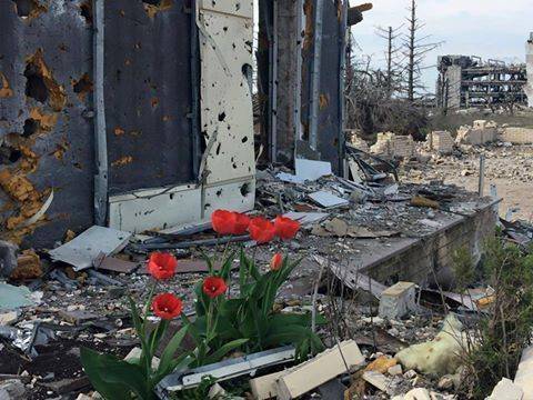 233-и сутки «перемирия»: в развалинах донецкого аэропорта расцвели тюльпаны 233-и сутки «перемирия»: в развалинах донецкого аэропорта расцвели тюльпаны
