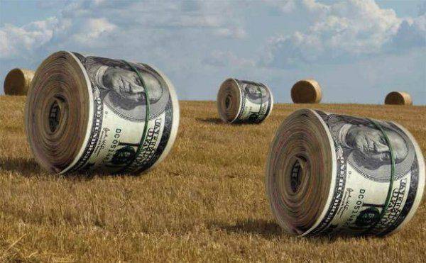 Земельная реформа на Украине: Земля будет продана, смиритесь Земельная реформа на Украине: Земля будет продана, смиритесь